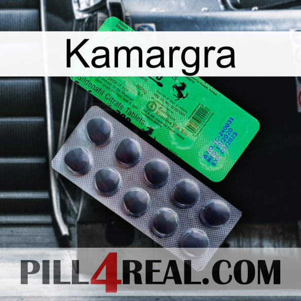 Kamargra new04.jpg